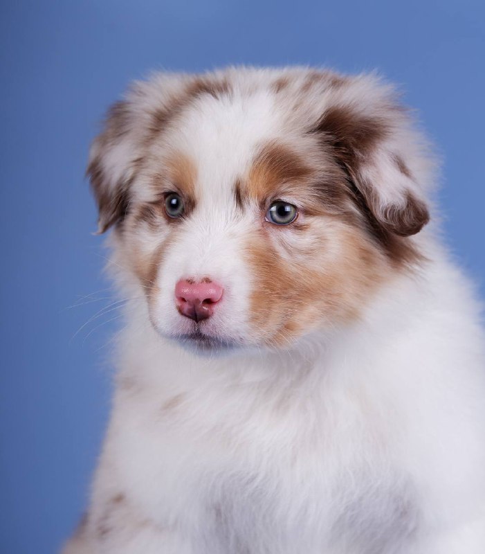 Красный мрамор