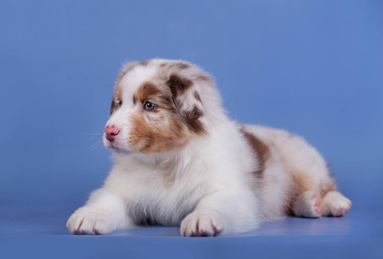 Test Жойе Бай Бауэр (1) (1)