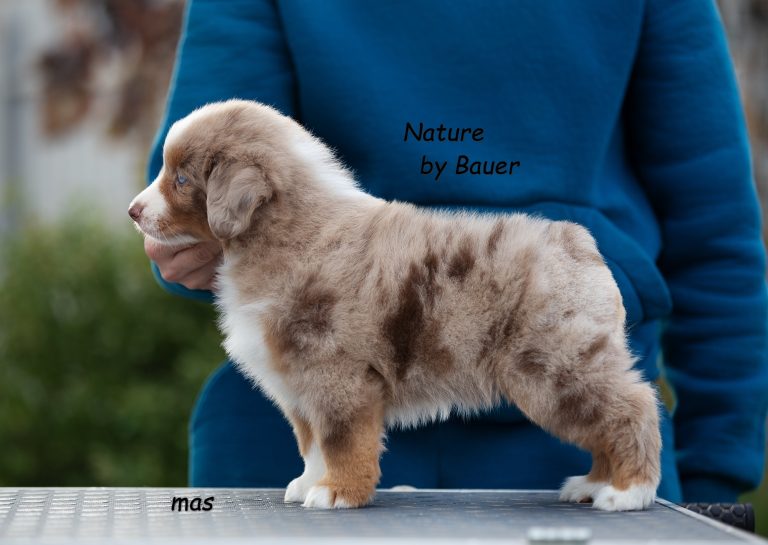 Nature by Bauer ~ Моника