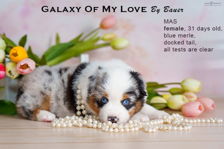 Galaxy of My Love by Bauer