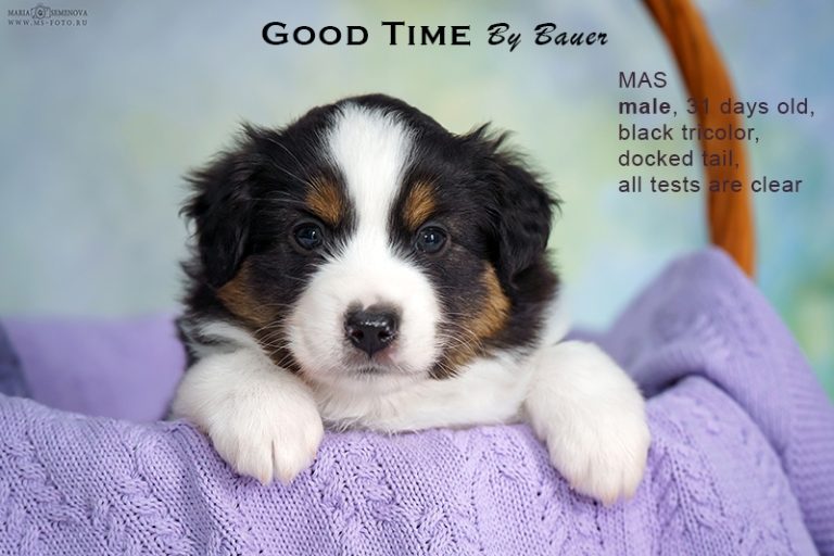 Good Time by Bauer