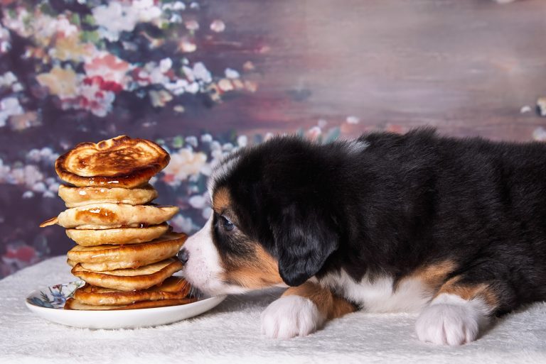 Pancake by Bauer ~