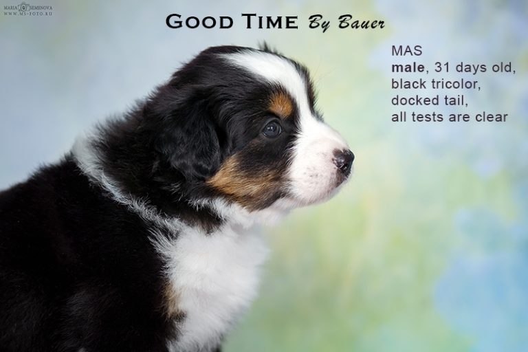 Good Time by Bauer