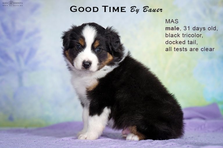 Good Time by Bauer