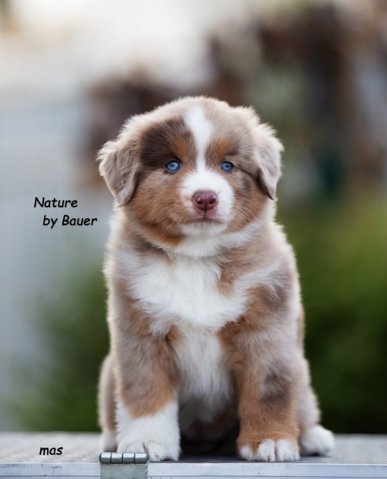 Nature by Bauer ~ Моника