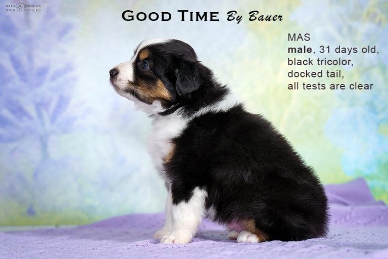 Good Time by Bauer