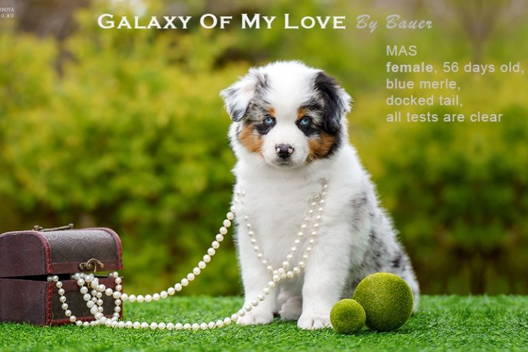 Galaxy of My Love by Bauer