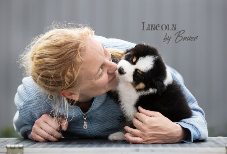 Lincoln by Bauer ~ МАКС
