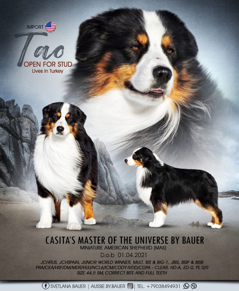 Папа — Casita's Master of the Universe by Bauer ~ ТАО