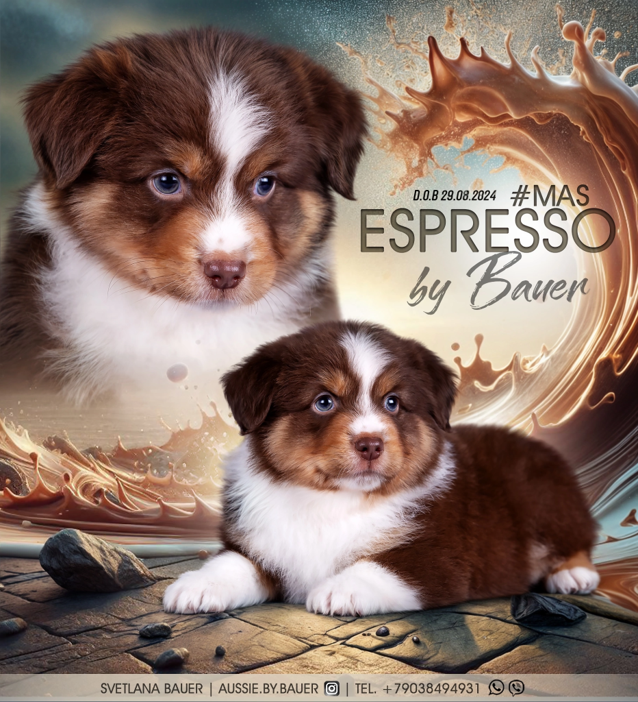 Espresso by Bauer