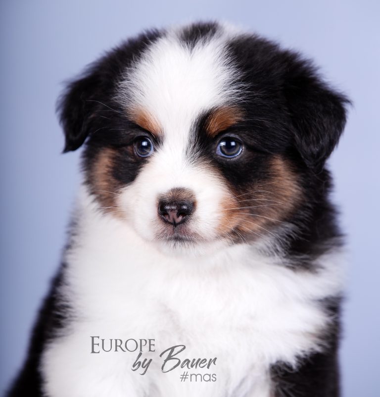 Europe by Bauer ~ ЕВА