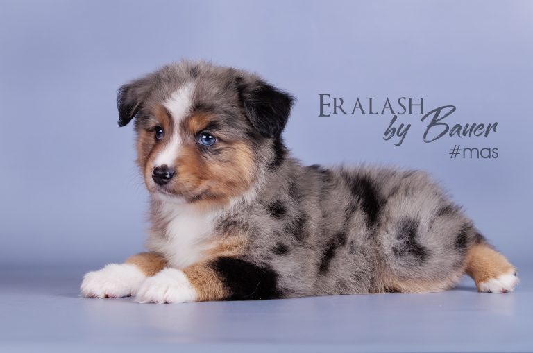 Eralash by Bauer ~ ЭРНИ