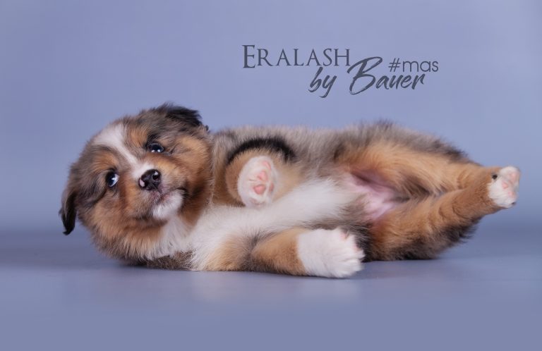 Eralash by Bauer ~ ЭРНИ
