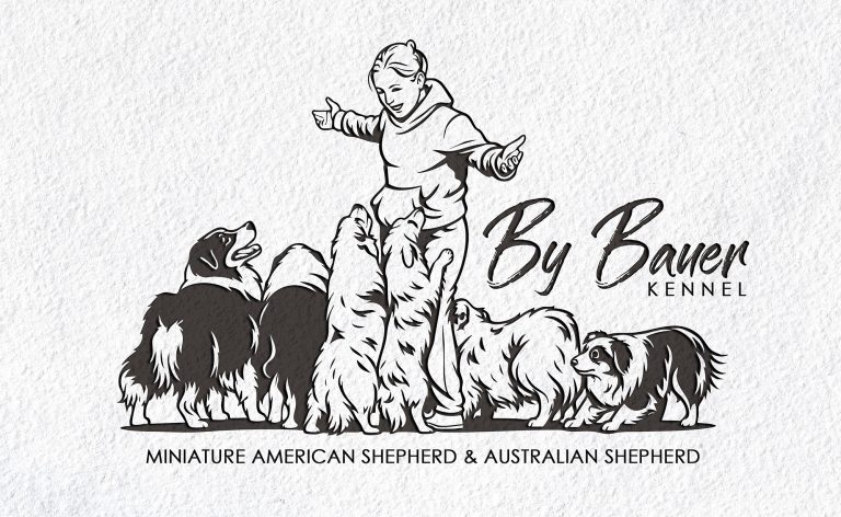 Кобель голубой мерль