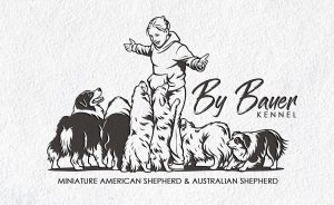 Фото питомника MAS Aussie by Bauer — аусси и МАС, MjZlpqgdU3UEWJWoS8TSjvI6UDiWHz07-XGIJr1GhDnNALOiH0yCjMXmaDy1avMYPg4p-TEUEyR33o8YUbwvXeKZ