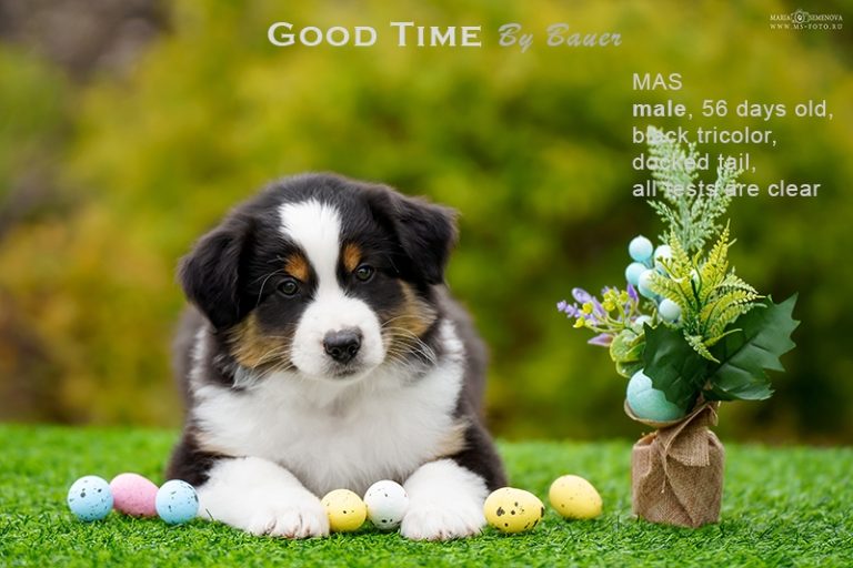 Good Time by Bauer