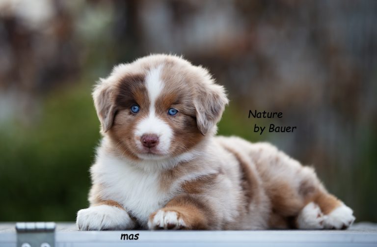 Nature by Bauer ~ Моника