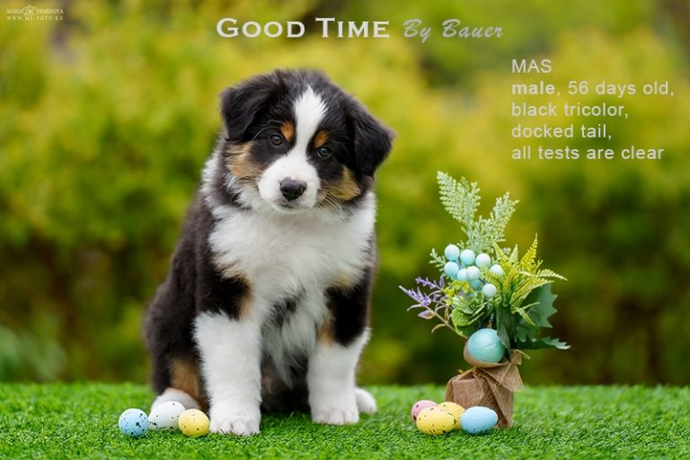 Good Time by Bauer