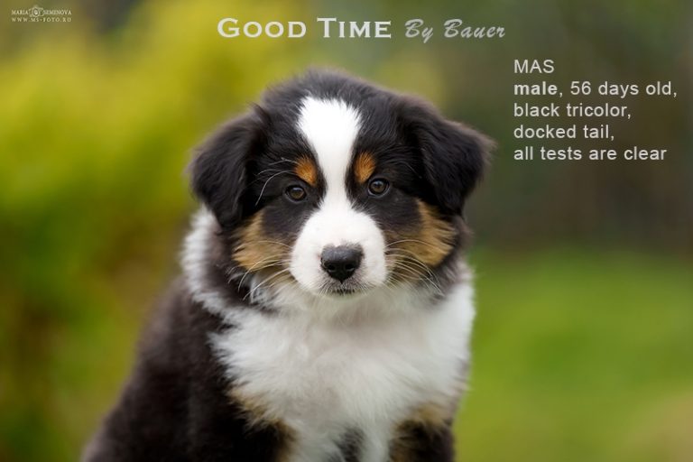 Good Time by Bauer