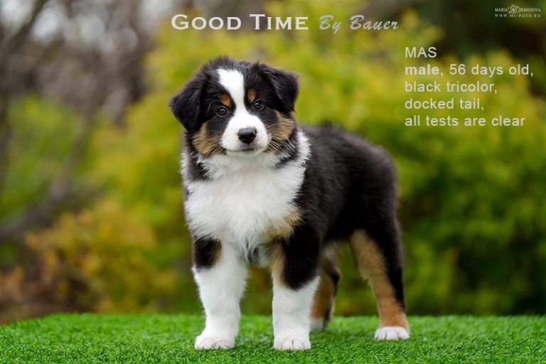 Good Time by Bauer