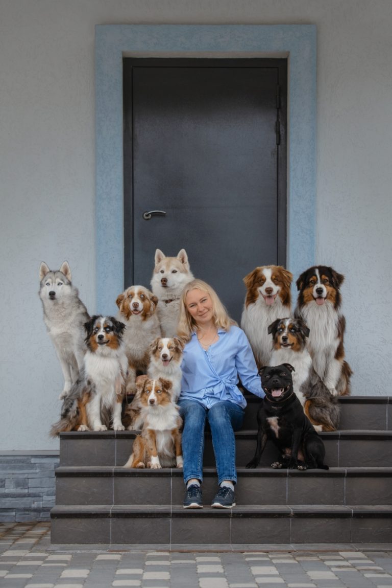 Test Жойе Бай Бауэр (1) (1)