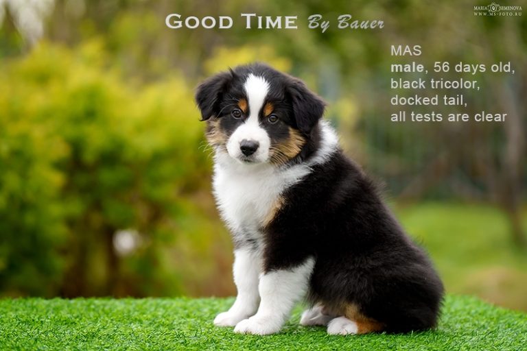 Good Time by Bauer