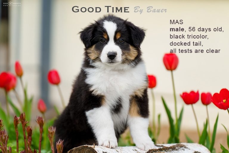 Good Time by Bauer
