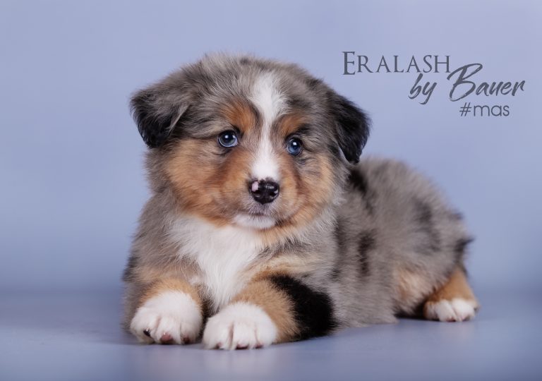 Eralash by Bauer ~ ЭРНИ