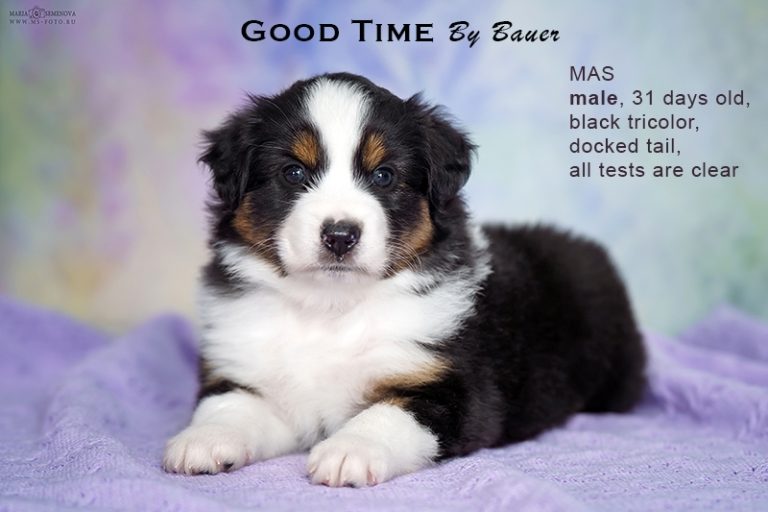Good Time by Bauer