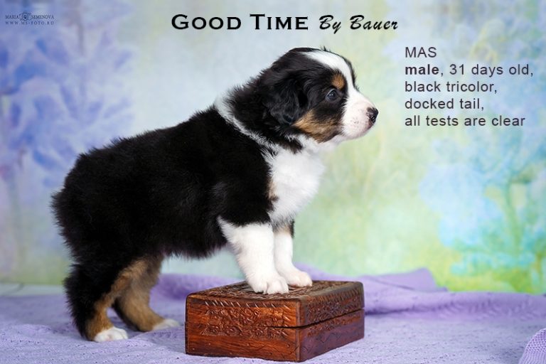 Good Time by Bauer
