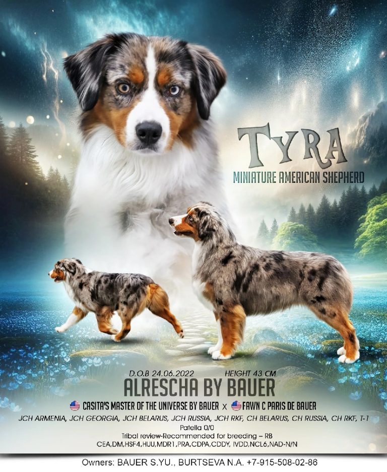 Мама — Alresha by Bauer ~ ТАЙРА
