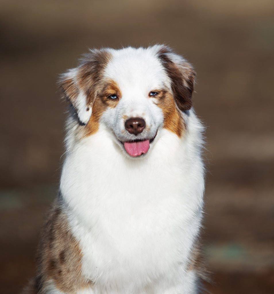 Benefits by Bauer ~ БЕНЯ