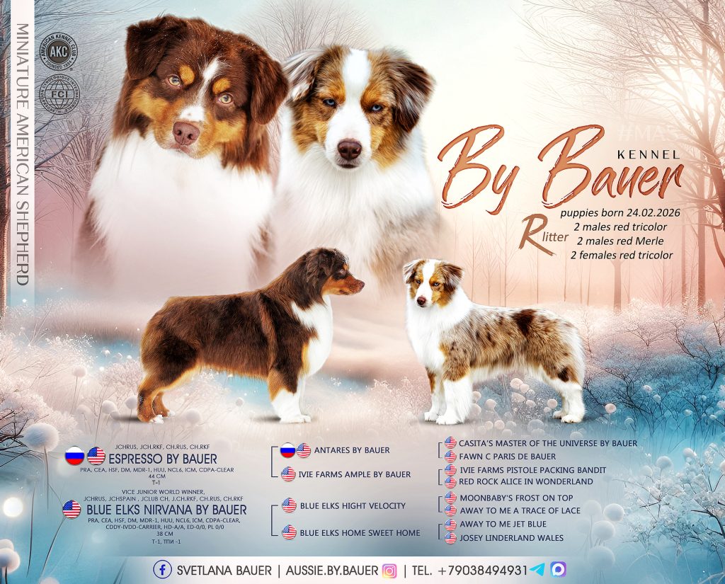 VK Видеоролик