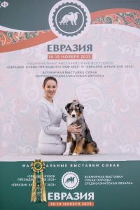 Alresha by Bauer ~ ТАЙРА, Мини-американская овчарка, фото 20 — питомник by Bauer