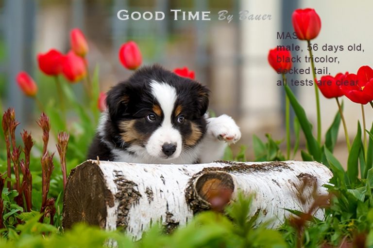 Good Time by Bauer