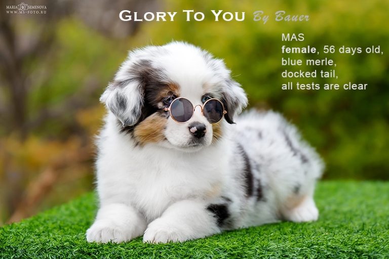 Glory to You by Bauer