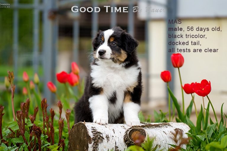 Good Time by Bauer