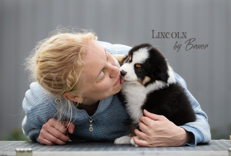 Lincoln by Bauer ~ МАКС