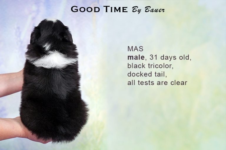Good Time by Bauer