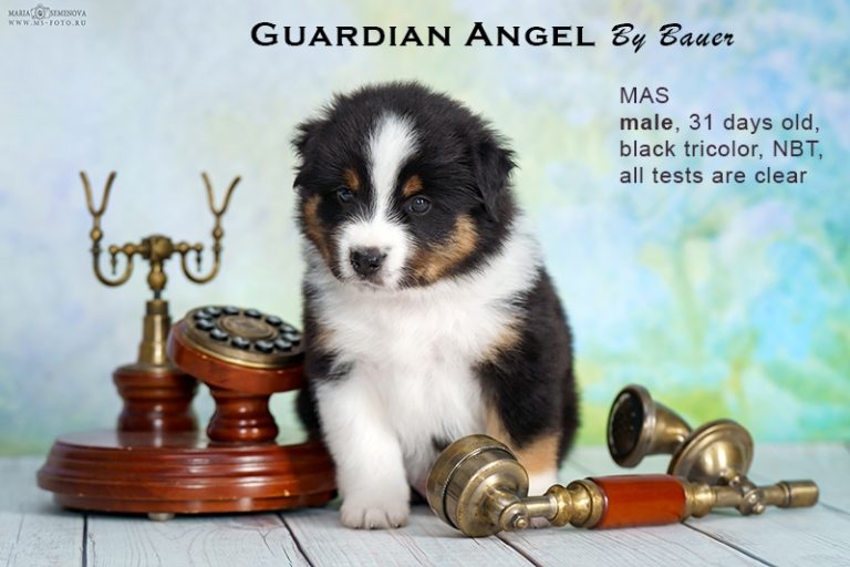 Guardin Angel by Bauer