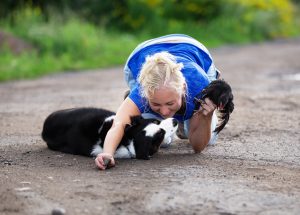 ALSEPHINA by Bauer ~ МАСЯ, Мини-американская овчарка, фото 27 — питомник by Bauer