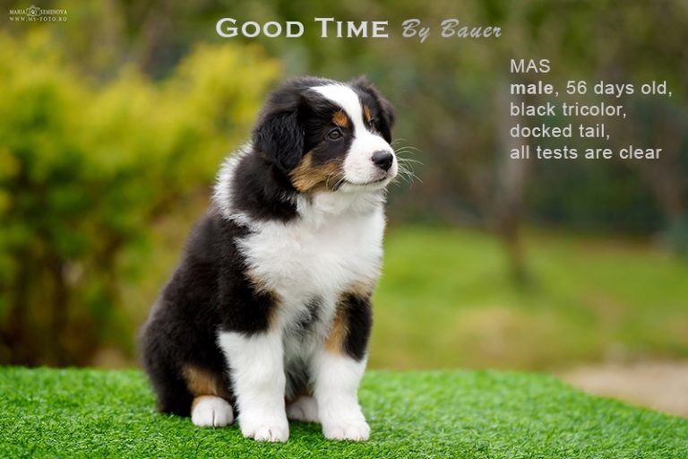 Good Time by Bauer