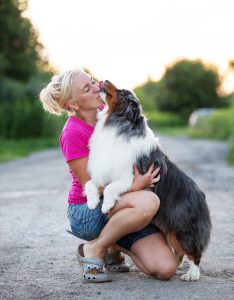 AVIOR by Bauer ~ ТАШ, Мини-американская овчарка, фото 32 — питомник by Bauer