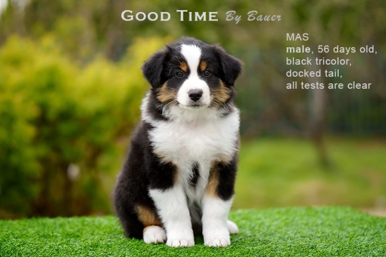 Good Time by Bauer