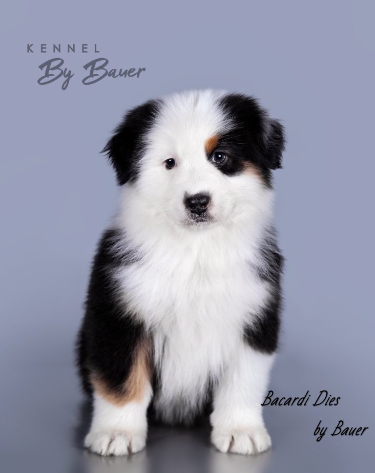 Bacardi Dies by Bauer (КФ) ~