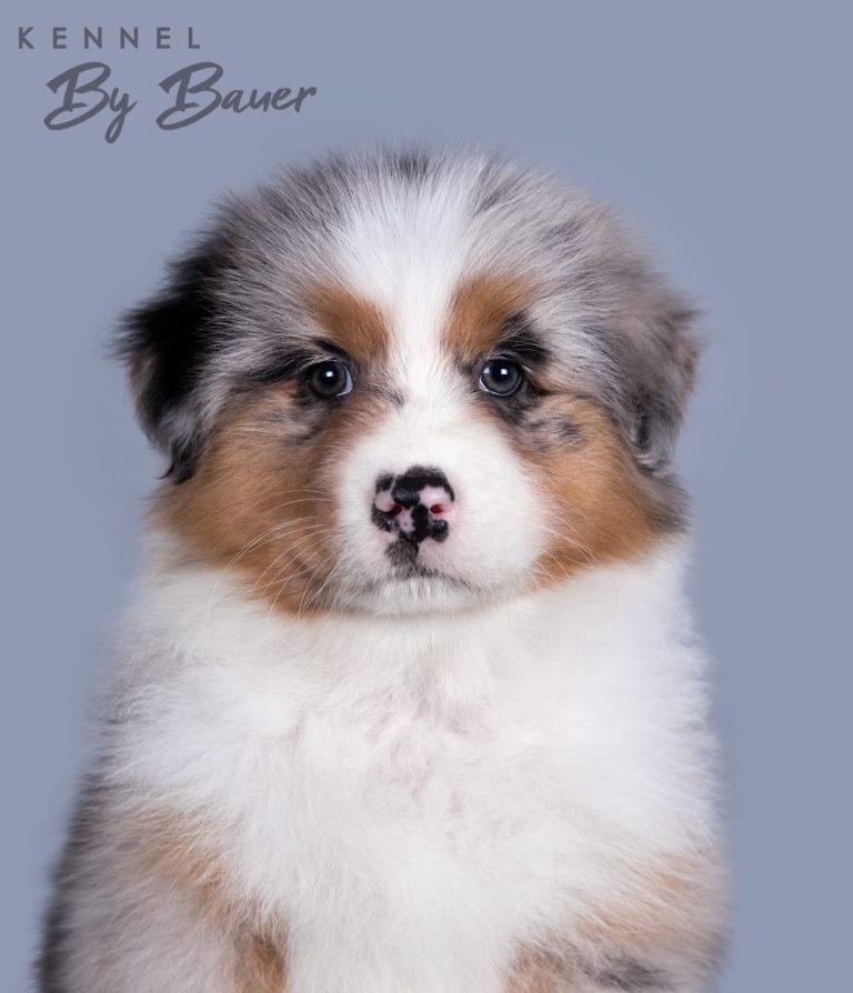 Blue Curacao by Bauer (КФ) ~ БЬЮТА