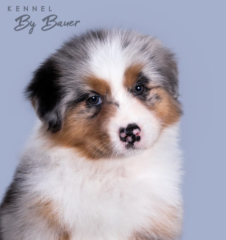 Blue Curacao by Bauer (КФ) ~ БЬЮТА