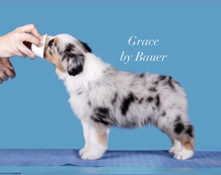 Grace by Bauer ~