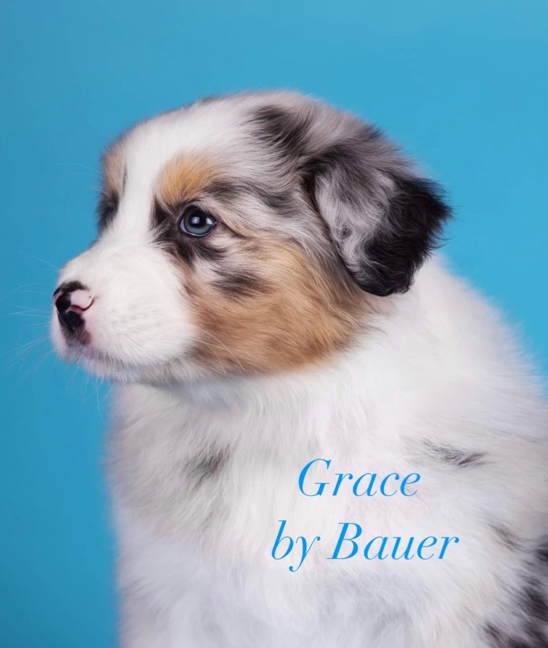 Grace by Bauer ~