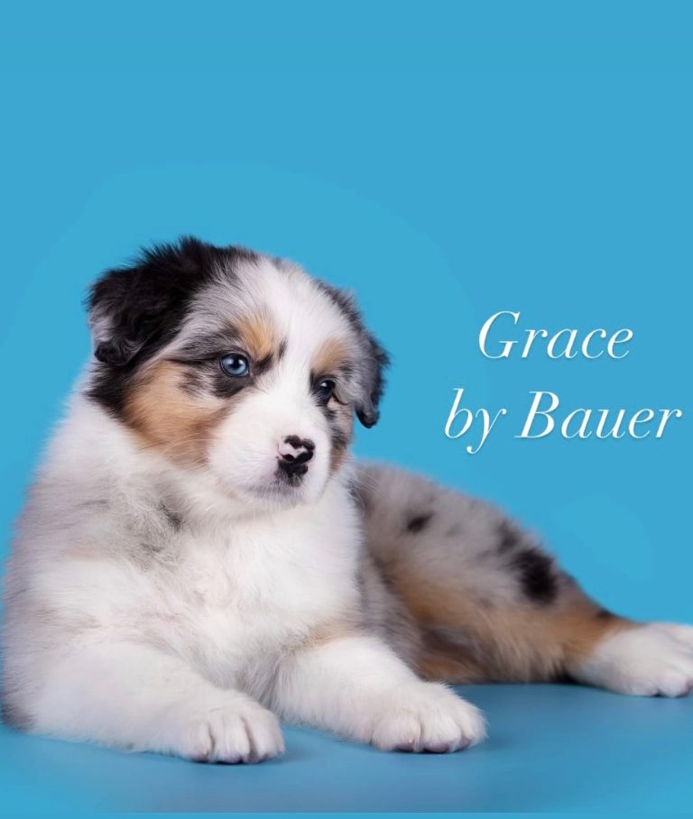 Grace by Bauer ~